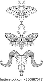 Vector set of spooky Halloween illustrations with moth and scull.