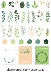 Vector set with spring botanical flowers. Vector illustration. Vintage green collection with template card.