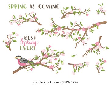 Vector set of spring branches isolated on white background. Blossoms, leaves and bird on tree branches. Hand-written brush lettering. Best spring ever! Spring is coming. 