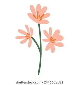 Vector set of spring Easter flowers in flat style isolated on white background.
