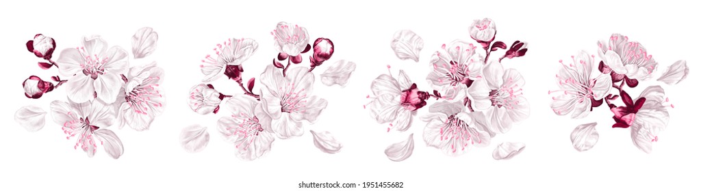 Vector set spring flower arrangements. Hand-drawn highly detailed white and pink cherry blossoms, sakura. Clip art elements for your design, postcards, cosmetics packaging, wrapping paper, textiles