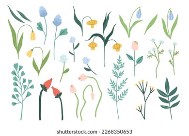 Vector set of spring flowers and leaves isolated on white background, roses, tulips, greenery, twigs