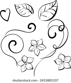 Vector set Spring flowers and leaves, forget me nots. Brunch, doodle element swirl clipart. Black silhouette for circuit