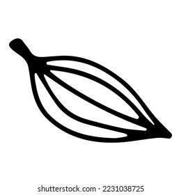 conjunto vectorial primavera naturaleza lindo doodle primavera flores hojas ramas mariposa wasp flor de hoja estrella de abril marcha puede