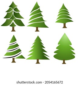 Vector set of spruce tree illustration