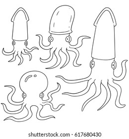 vector set of squids