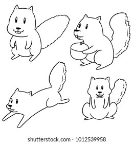 vector set of squirrel