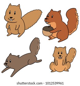 vector set of squirrel