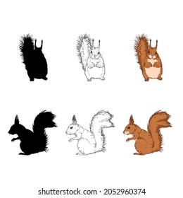 Vector Set of Squirrel Illustrations. Front and Side View Postraits. Silhouette, Sketch and Cartoon Styles