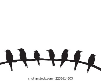 vector set of is standing on a branch Silhouettes diferent style on white background