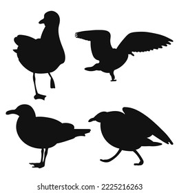 Gaviota vectora de gaviotas en pie, varias siluetas de aves silvestres dibujadas a mano, vector aislado