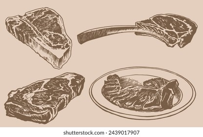 Vector set of steaks on sepia background , grilled meat illustration, food element	