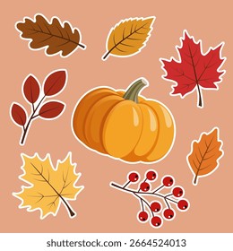 Vector set sticker featuring of autumn elements, colorful fall leaves and pumpkin. For seasonal design projects, Thanksgiving graphics, invitations, packaging, and autumn-themed decorations. 
