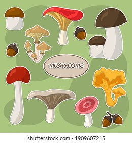 Vector set of stickers with edible mushrooms, for design and decoration
