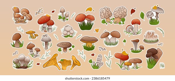Vector set stickers forest mushrooms. Collection different types mushrooms edible and inedible. Colorful cartoon assorted mushrooms for cover, print, book decoration, postcard, stickers, web element