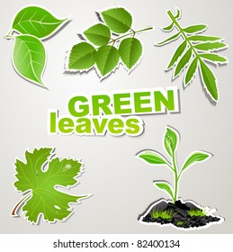 vector set stickers: green leaves