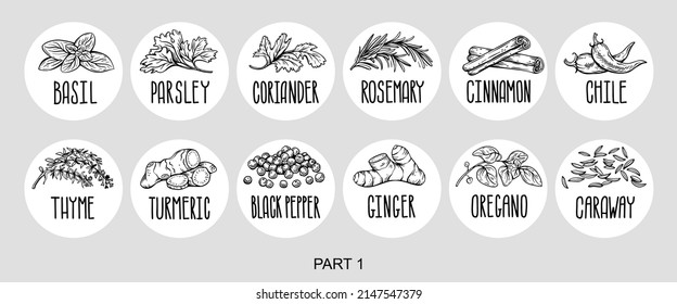 Vector set of stickers for spices.  basil, parsley, coriander, rosemary, cinnamon, chili, pepper, thyme, turmeric, black pepper, ginger, oregano, cumin, poppy, anise, garlic, dill, mustard, saffron, 