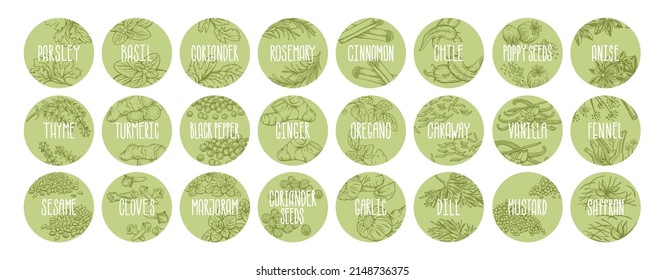 Vector set of stickers for spices.  basil, parsley, coriander, rosemary, cinnamon, chili, pepper, thyme, turmeric, black pepper, ginger, oregano, cumin, poppy, anise, garlic, dill, mustard, saffran