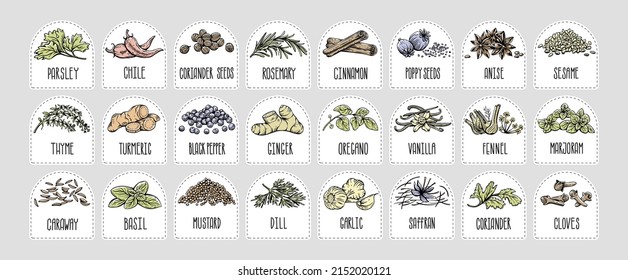 Vector set of stickers for spices.  basil, parsley, coriander, rosemary, cinnamon, chili, pepper, thyme, turmeric, black pepper, ginger, oregano, cumin, poppy, anise, garlic, dill, mustard, saffron