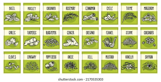 Vector set of stickers for spices.  basil, parsley, coriander, rosemary, cinnamon, chili, pepper, thyme, turmeric, black pepper, ginger, oregano, cumin, poppy, anise, garlic, dill, mustard, saffron