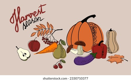 Conjunto vectorial de la vida residual de las frutas de hortalizas del otoño las hojas delineadas con una inscripción. Temporada de cosecha. Un conjunto de elementos de diseño para el afiche del Festival de la Cosecha de Otoño