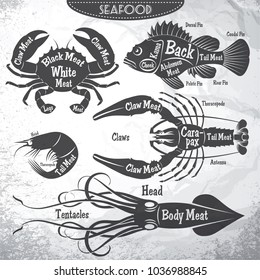 vector set of stilysh diagrams cut of different seafood carcasses.