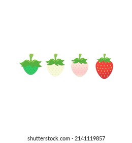 Vector set strawberries variants simple vector design