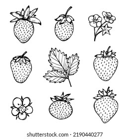 Vektorset von Erdbeerklammer-Kunst. Handgezeichnete Beerensymbol. Obstgrafik. Für Druck, Web, Design, Dekoration, Logo.