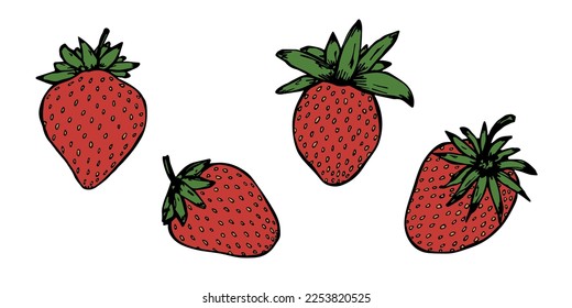 Vector set of strawberry clipart. Hand drawn berry icon. Fruit illustration. For print, web, design, decor, logo.