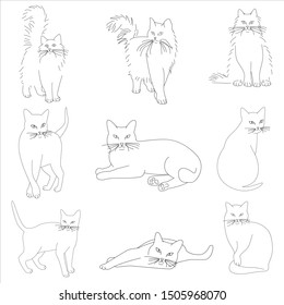 Vector set of a stylish cats. Silhouette of a cats. Modern trend design. Concept for logos, flyers, packs, prints and posters. Pet care, pet food and pets concept