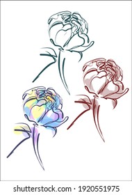 
VECTOR Set  with a
stylish  original hand-drawn sketch graphics with beautiful  pion for fashion logo 