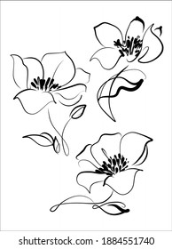 
Conjunto de vectores con un
elegantes dibujos originales de verano con dibujos a mano con hermosas adormidera son tulipán para el diseño floral logo son postales de vacaciones