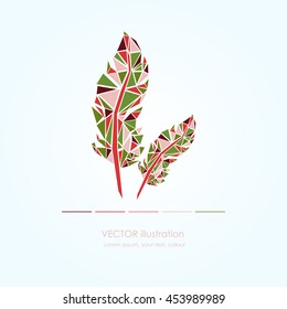 Vector Set of Stylized or Abstract Feathers and Feather Silhouettes