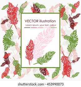 Vector Set of Stylized or Abstract Feathers and Feather Silhouettes