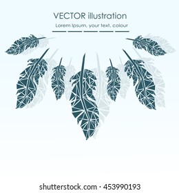 Vector Set of Stylized or Abstract Feathers and Feather Silhouettes