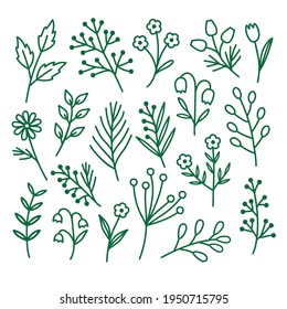 Vector set of stylized field plants. Summer flowers drawn in the doodle style to create patterns and illustrations.