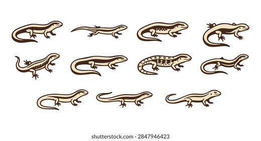 Vector set of stylized geometric lizards and chameleons in different poses for design use, Vintage style vector illustrations of various lizards and skinks arranged in a set on isolated white background, Set of black and white vector line art illustrations featuring small lizards in various natural poses