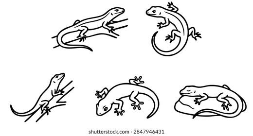 Vector set of stylized geometric lizards and chameleons in different poses for design use, Vintage style vector illustrations of various lizards and skinks arranged in a set on isolated white background, Set of black and white vector line art illustrations featuring small lizards in various natural poses