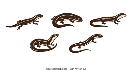 Vector set of stylized geometric lizards and chameleons in different poses for design use, Vintage style vector illustrations of various lizards and skinks arranged in a set on isolated white background, Set of black and white vector line art illustrations featuring small lizards in various natural poses