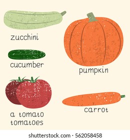 vector set of stylized vegetables tomato, cucumber, pumpkin, carrots, zucchini, vintage