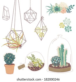 Vector set with succulents, flowers and glass terrariums