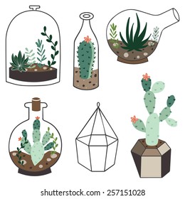 Vector set with succulents flowers and glass terrariums. Vector illustration.