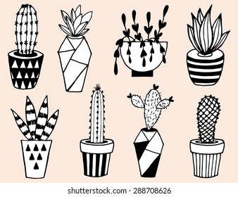 Vector set with succulents flowers and glass terrariums. Vector illustration.