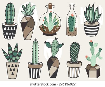 Vector set with succulents flowers and glass terrariums. Vector illustration.