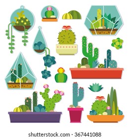 Vector set with succulents flowers and glass terrariums