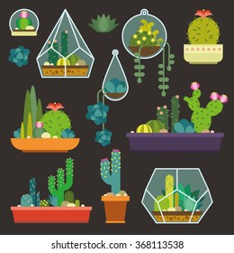 Vector set with succulents flowers and glass terrariums. Trendy interior elements