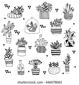 Vector set with succulents flowers. Vector illustration.