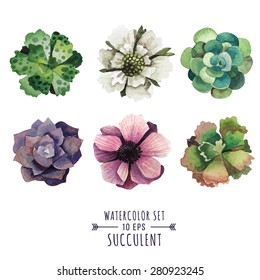 Vector set of succulents and flowers in watercolor style. Flowers poppies and succulents. Image for postcards, covers, invitations and other products.