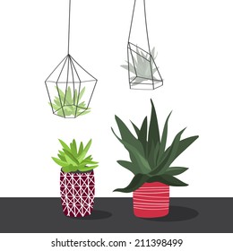 Vector set with succulents, glass terrariums