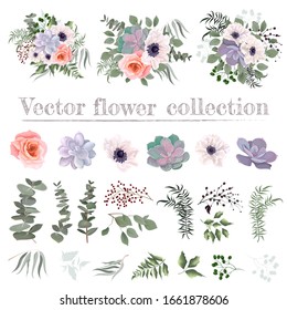 Vector set of succulents and plants. Compositions of plants. Plants isolated on a white background. Succulents, pink roses, white anemones, eucalyptus, berries, leaves, plants. Elements for floral des